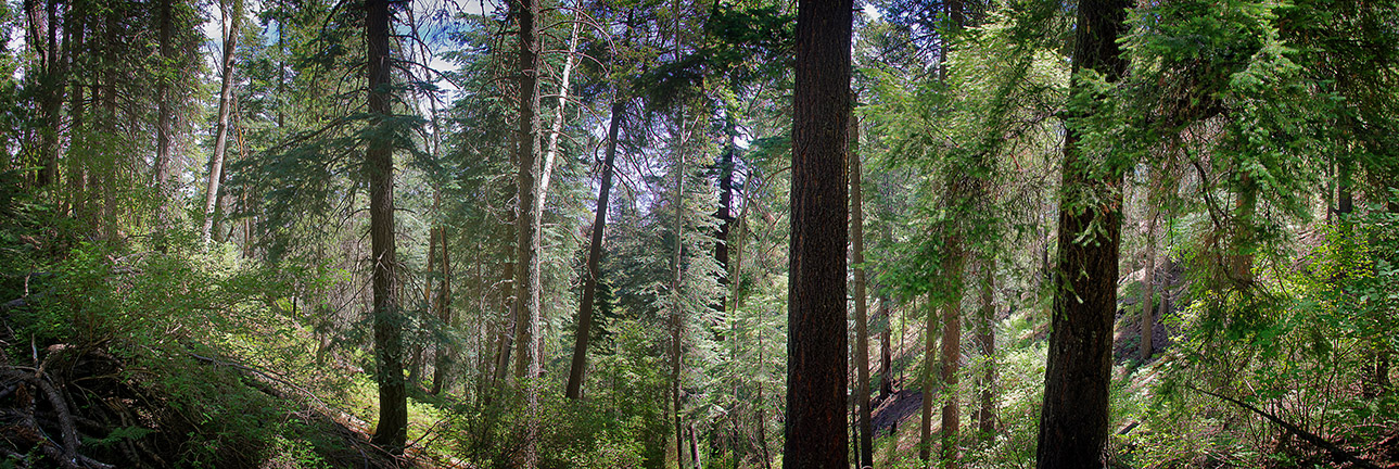 Beautiful Trail On A Very Dry Mountain — Aspen Draw Trail | Becoming is ...
