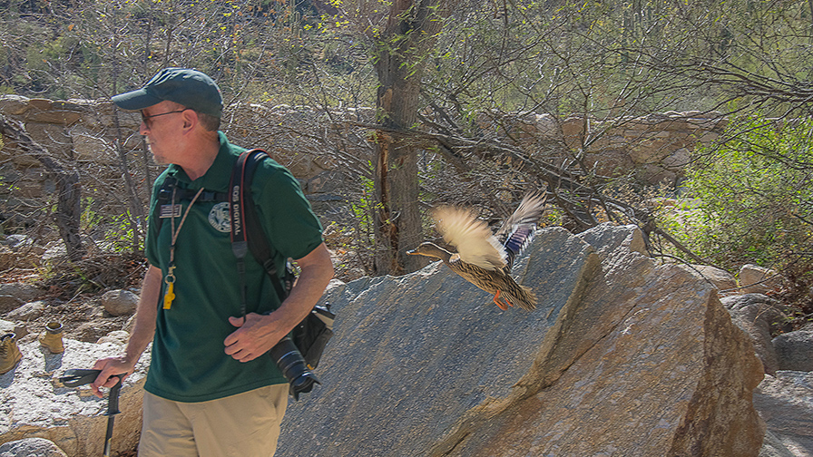 Pascal Duck Capturing The Moment — “Duck!” | Becoming is Superior to Being