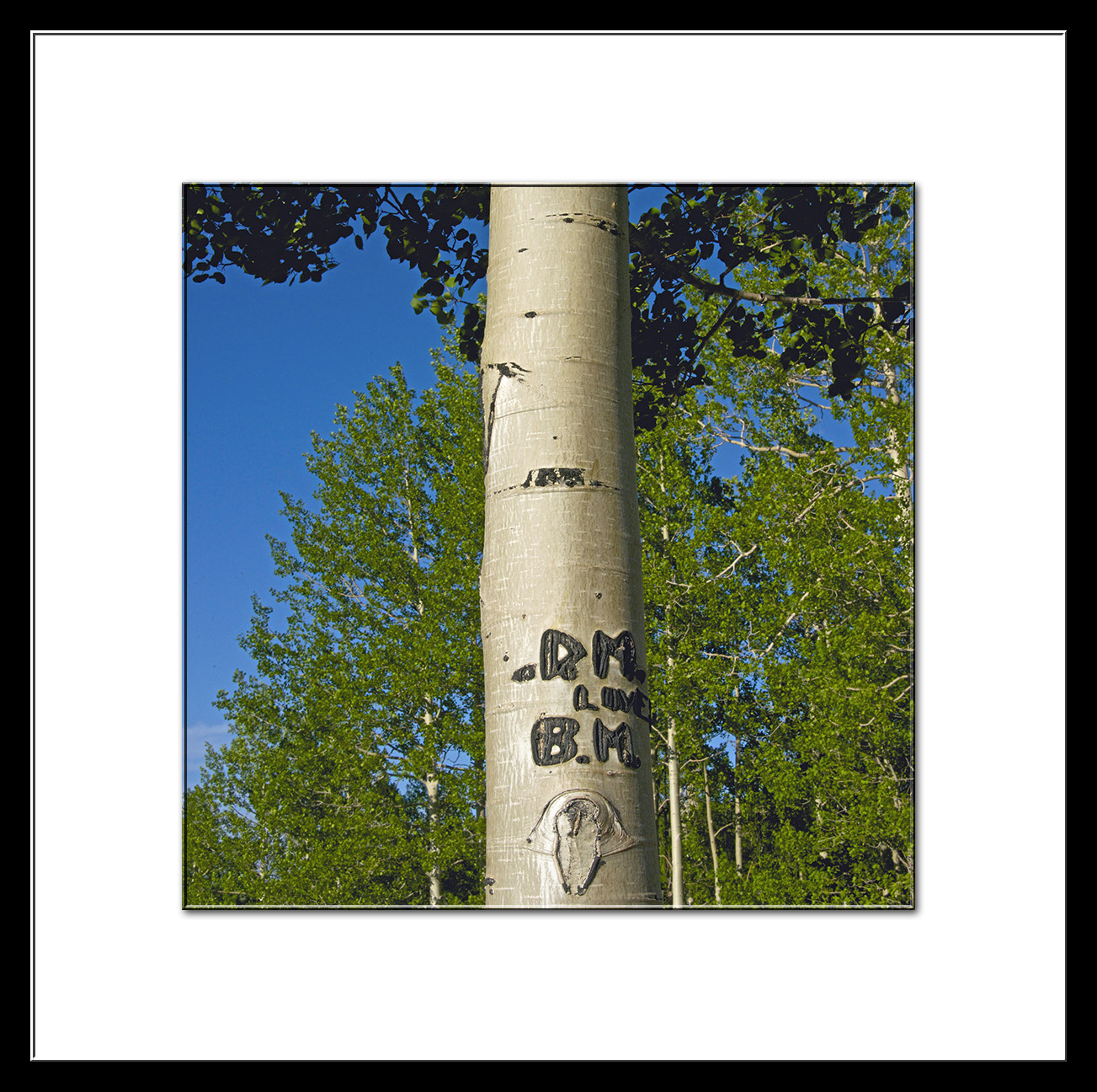 Love Tree Real Capturing The Moment — Love Tree | Becoming is Superior to Being