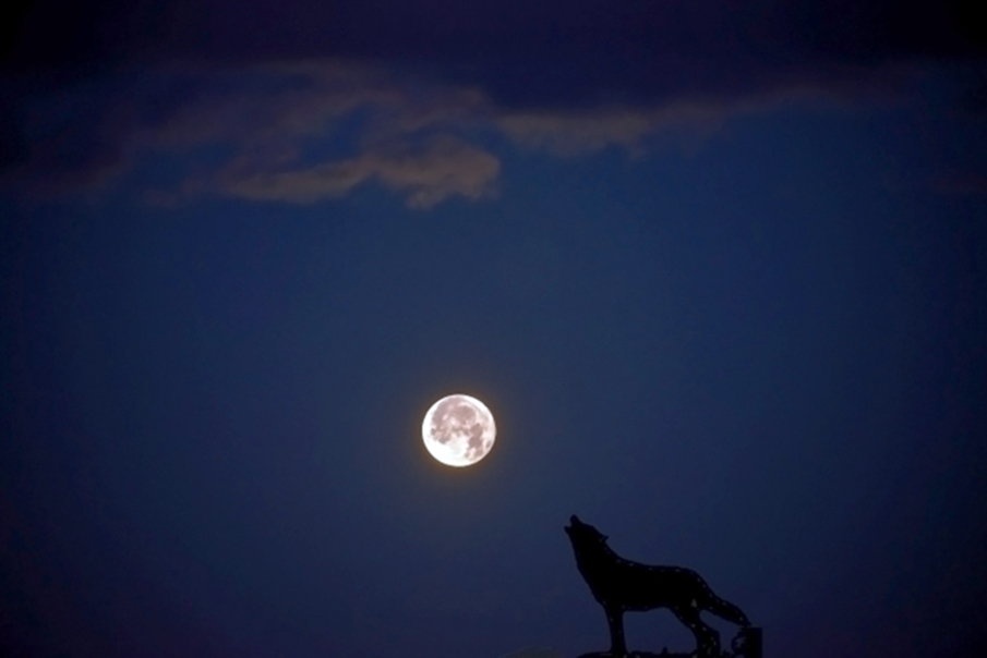 Wolf Moon Java Wolf Moon, 2017 | Becoming is Superior to Being