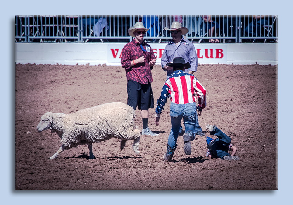 Mutton Bustin’– Tucson Rodeo | Becoming is Superior to Being